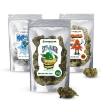 Flores de Cannabis 100gr | PLANTOFLIFE