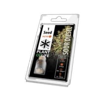 Semillas de Marihuana Autoflorecientes| Formato 1 semilla | PLANTOFLIFE