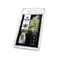 Semillas Medicinales CBD | Formato 10 semillas | PLANTOFLIFE
