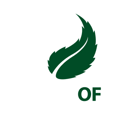 PLANT OF REMEDY