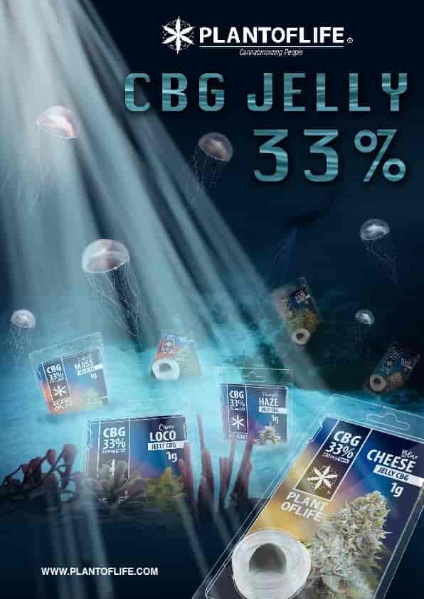 POSTER JELLY 33% SABORES 50X70
