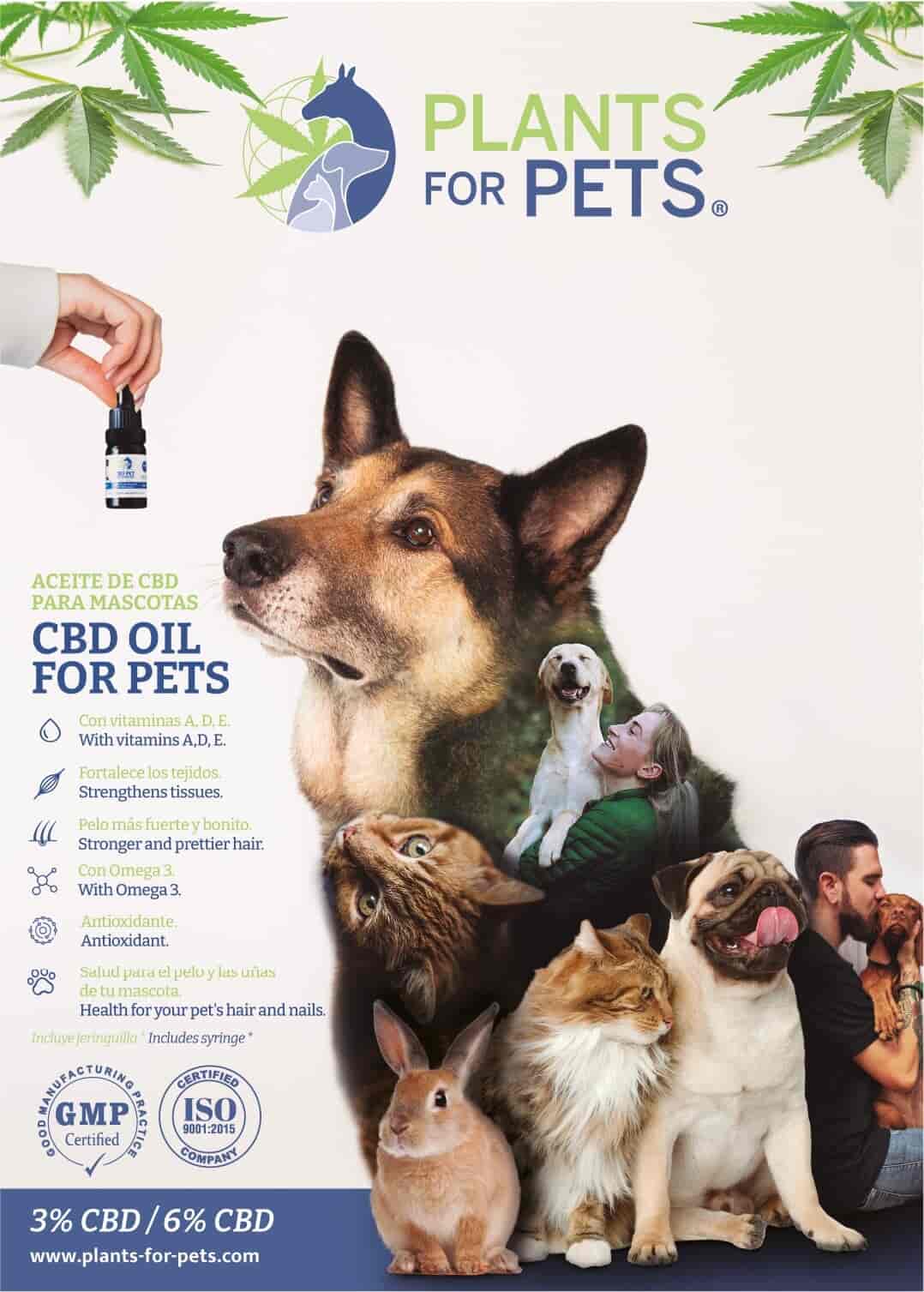 POSTER PLANT FOR PETS 50x70
