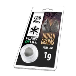 SOLIDE 6.5% CBD INDIAN CHARAS