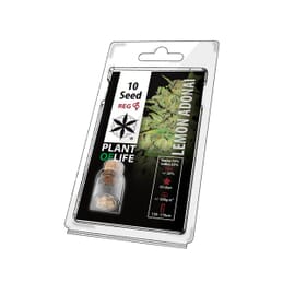 ᐅ Comprar Semillas marihuana cannabis granel RB Amnesia (50u) para cultivos  de marihuana cannabis. Tienda Growshop Online República Botánica