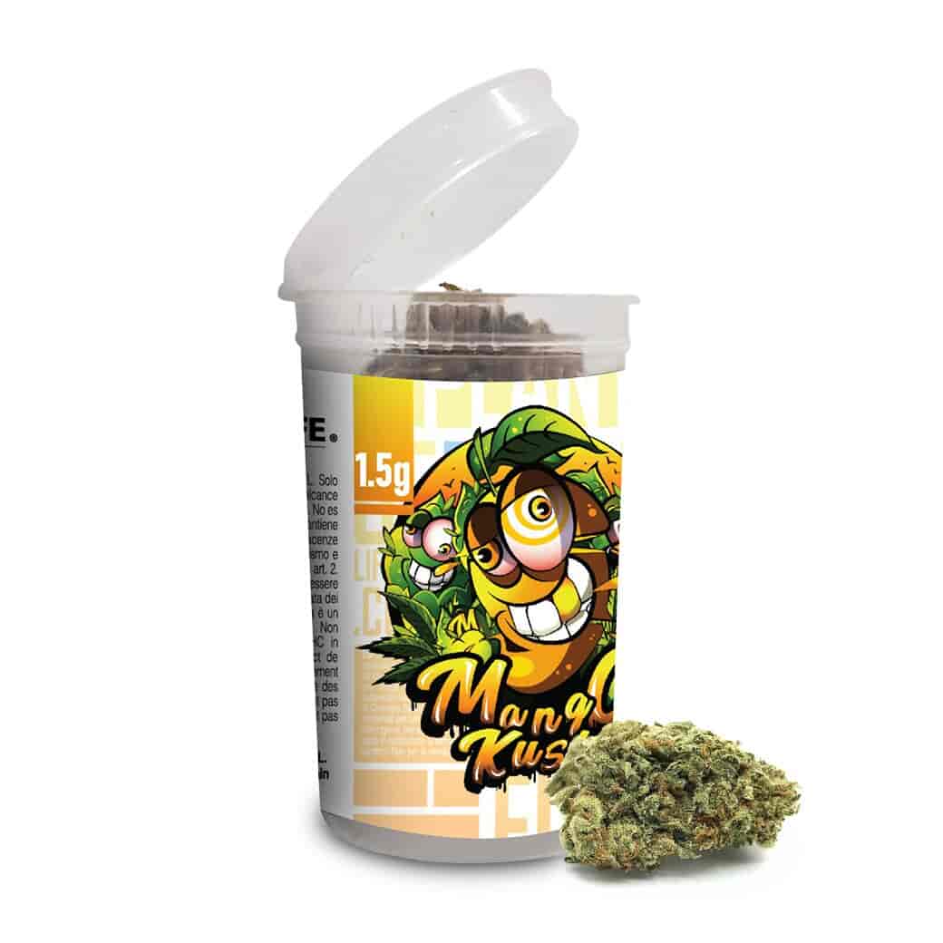 FLORES MANGO KUSH CBD 1.5G