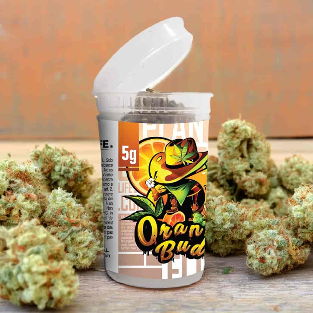 CBD FLOWERS ORANGE BUD 5G | CBD FLOWER | PLANTOFLIFE