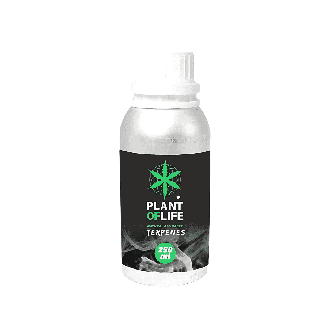 CANNABIS TERPENO 250 ML A...