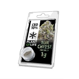 SOLID 10% CBD CHEESE BLUE